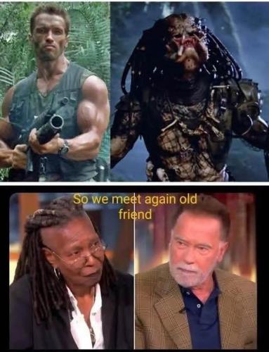 FB_IMG_1751275754880