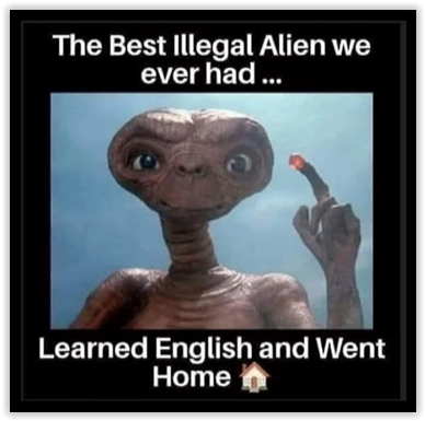 Best Illegal