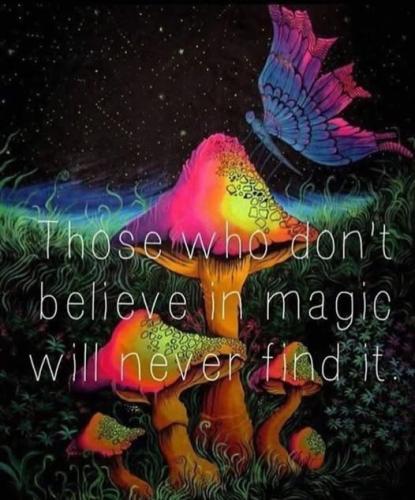 505729156_1327692956023405_2468971610554741108_n