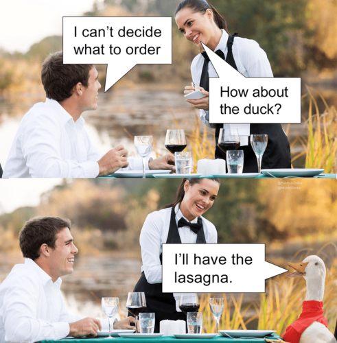 cant-decide-order-about-duck-have-lasagna-punhubonline-mrjohndarby