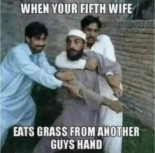 FB_IMG_1750748416219