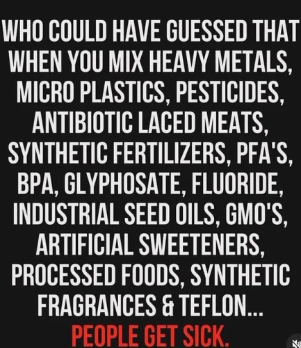 image_2025-06-08_095031750