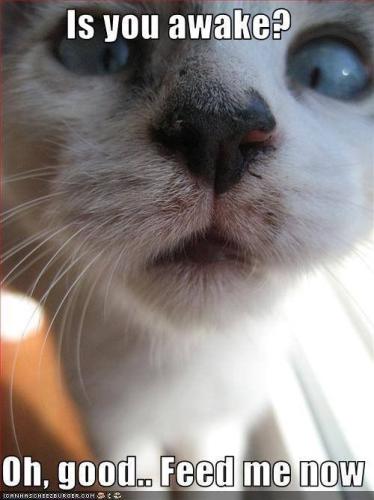 e93a711c68ba0fc4345d13da43cda0df