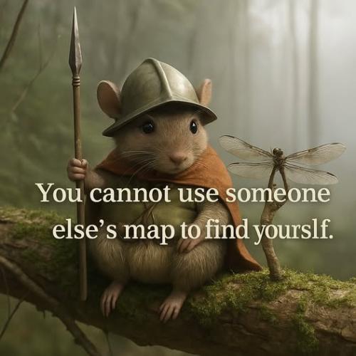 511150633_1275368577491295_2242864234050084102_n