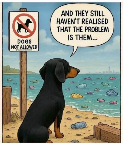 506439307_4186942008298859_5211868289316515965_n