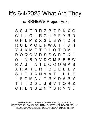 Its642025WhatAreThey_Puzzle