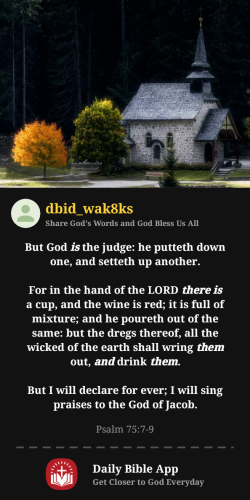 2025-06-071749352434176