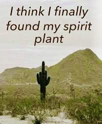 509602830_24145059818413573_9042012618615394909_n