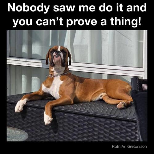 FB_IMG_1750181067273