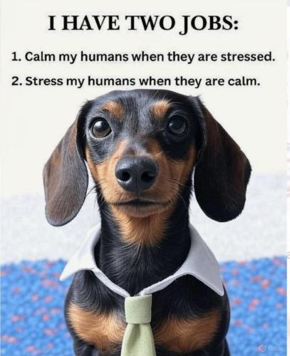 FB_IMG_1750172665455