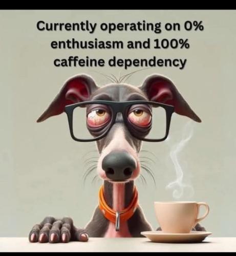 FB_IMG_1749131937938