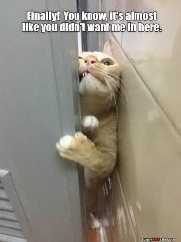 29b0c1fb5ba1a017ac4da2543c7b0f7a