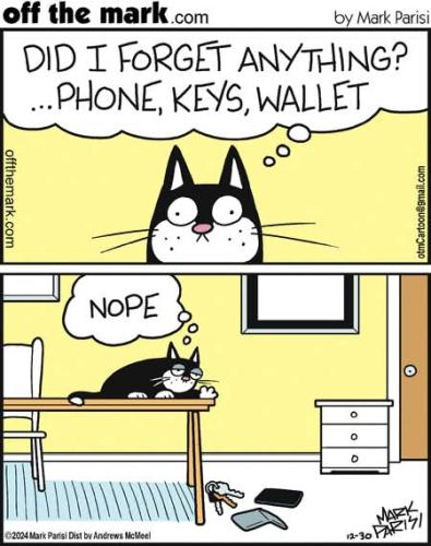 FB_IMG_1749322738132