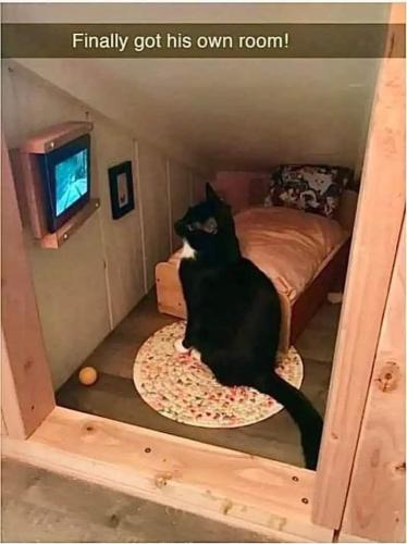 FB_IMG_1749394612354