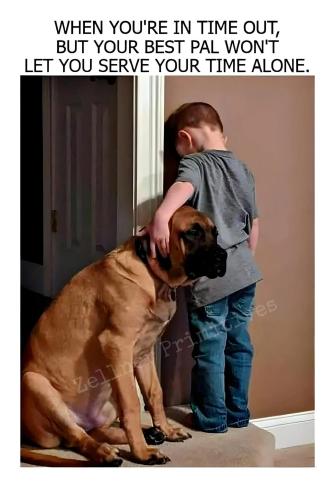 FB_IMG_1750699312637