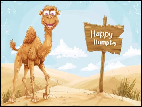 1-Hump Day