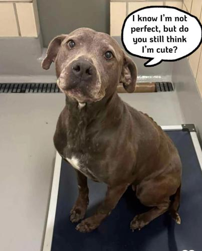 FB_IMG_1749568143340_resized