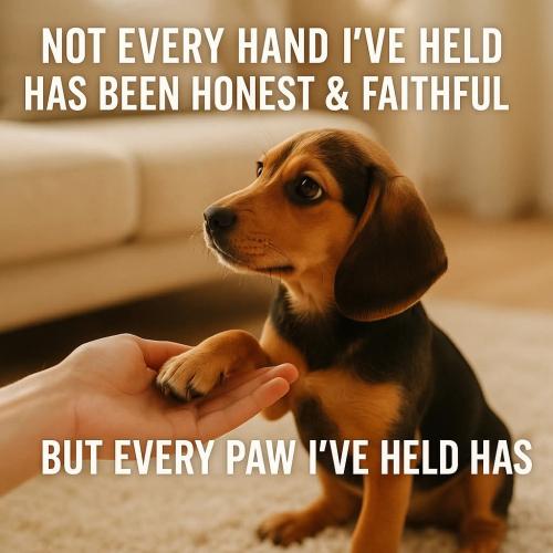 FB_IMG_1749827271285