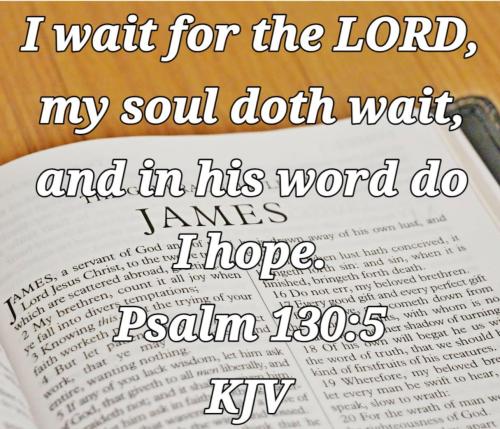 b9362c1e-e4d3-4e22-9aab-767be4bd5229