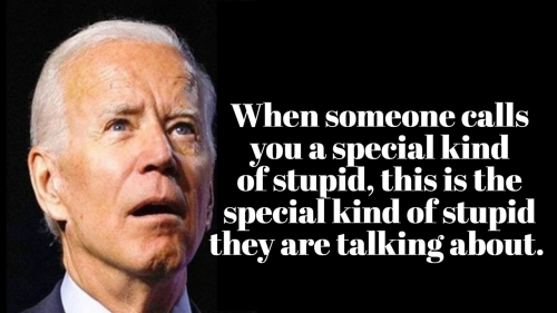Special kind of stupid Joe Biden Bitchute video cover