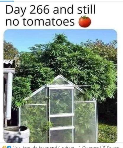 image_438816CC-57A6-4665-A72C-720D8D019066