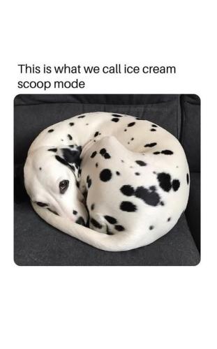 FB_IMG_1749346934175