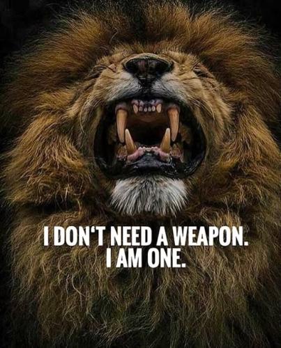 e788ab085a6ae686826fd4aa26c7146a_1024