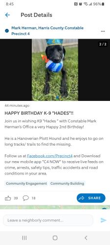 Screenshot_20250619-084538_Ring