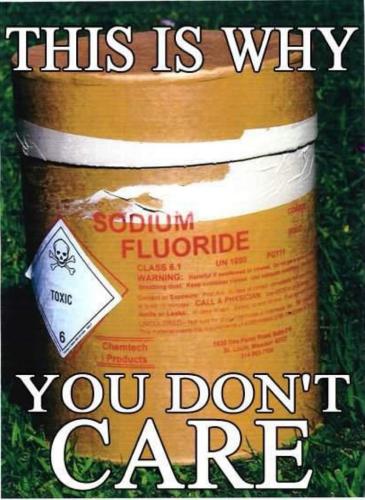 597F13F3-FDD0-415A-B72C-7E1930B0C1A8