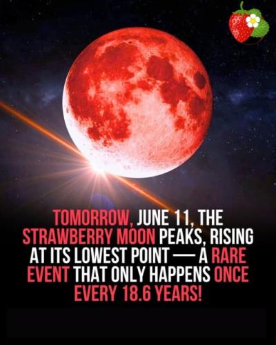 505424249_1144155217739708_3000100447973860222_n