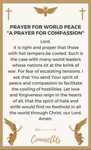 photo_2025-06-12_21-43-38