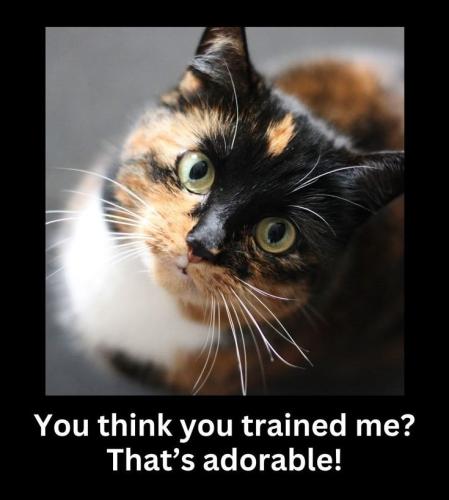 11854e821a7cffd7cc5e1a98460f3ac6