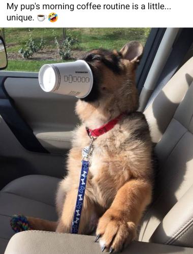 Screenshot_20250624_073546_Facebook_resized