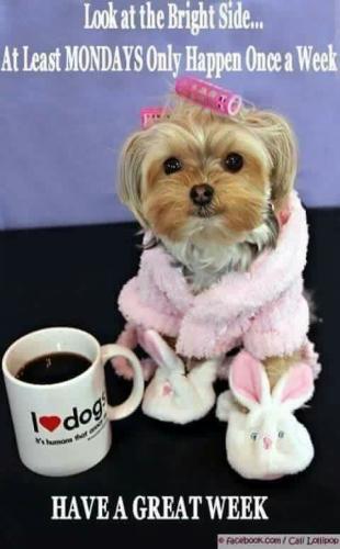 512fb28d7eb09c236dadfbd55f7743df