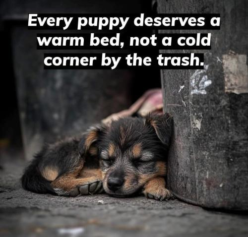 FB_IMG_1748709463059