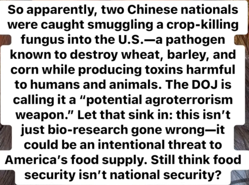 image_2025-06-06_063051380