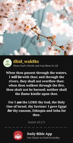 2025-06-291751234261894