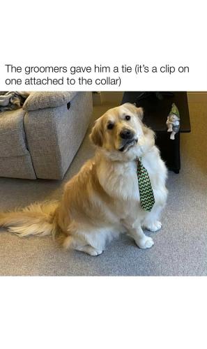 FB_IMG_1749221328966