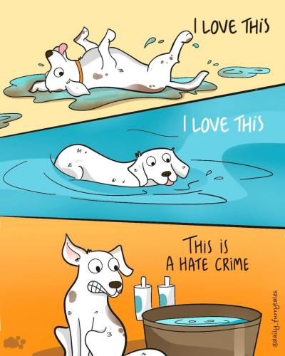 FB_IMG_1748725110500