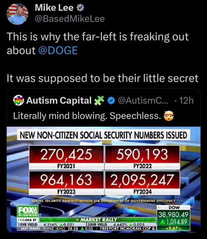 government efficiency74