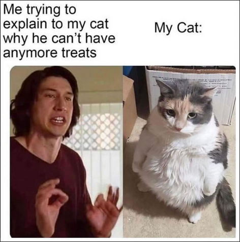 cant have anymore treats