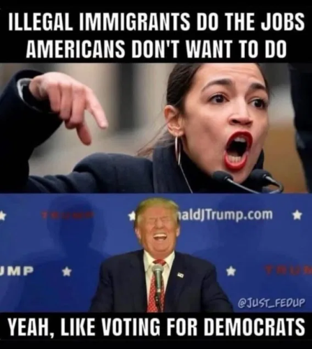 image_2025-06-26_065123479