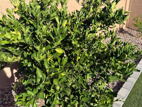 6C6CDCDE-D241-4E2C-815B-42054255D87B