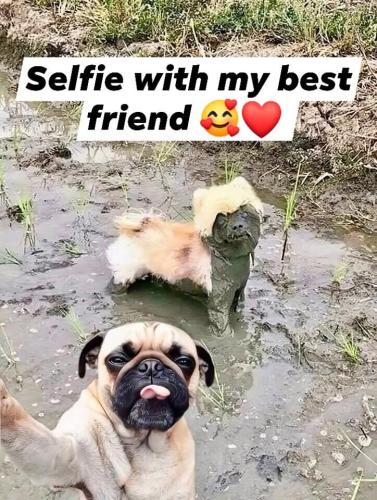 FB_IMG_1749347888490