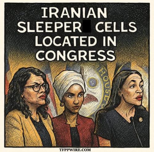 sleeper cells in congress