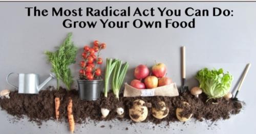 Screenshot_20250611_113822_Gallery