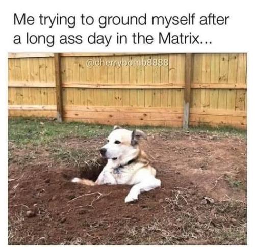 505371442_698934309511312_187997656668413129_n