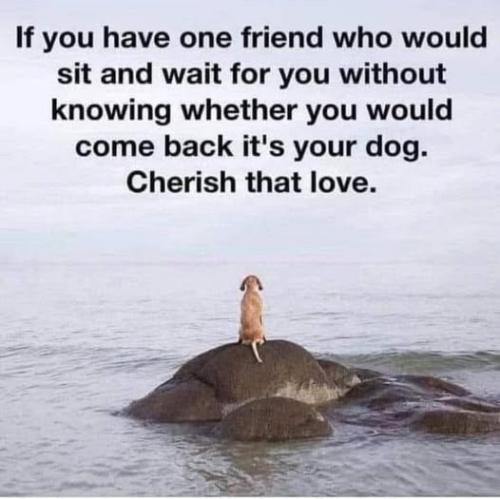 506732834_705775162160560_4855908974385735653_n