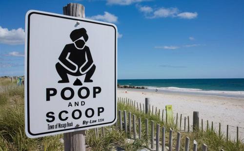 IMG_20250612_151758_277