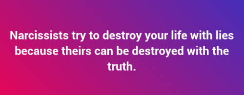 Screenshot 2025-02-27 8.07.58 PM